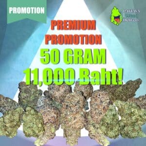 Promotion 50g Premium Buds (5x 10 grams) - Pattaya weed delivery"