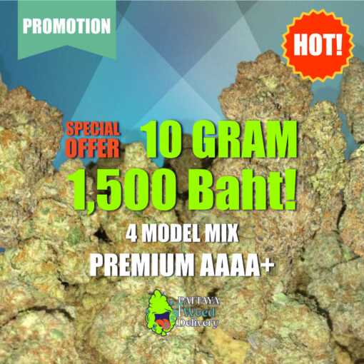 4 Model Mix Premium AAAA+